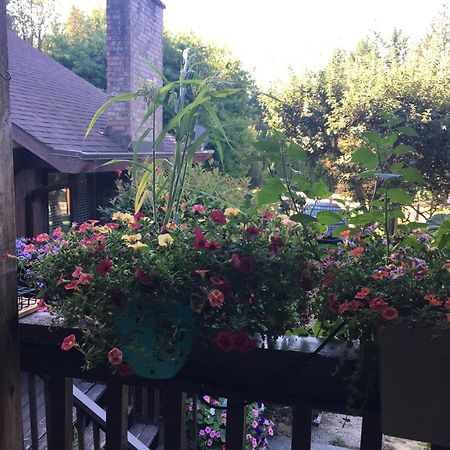 科尔斯湾度假屋 North Saanich 外观 照片