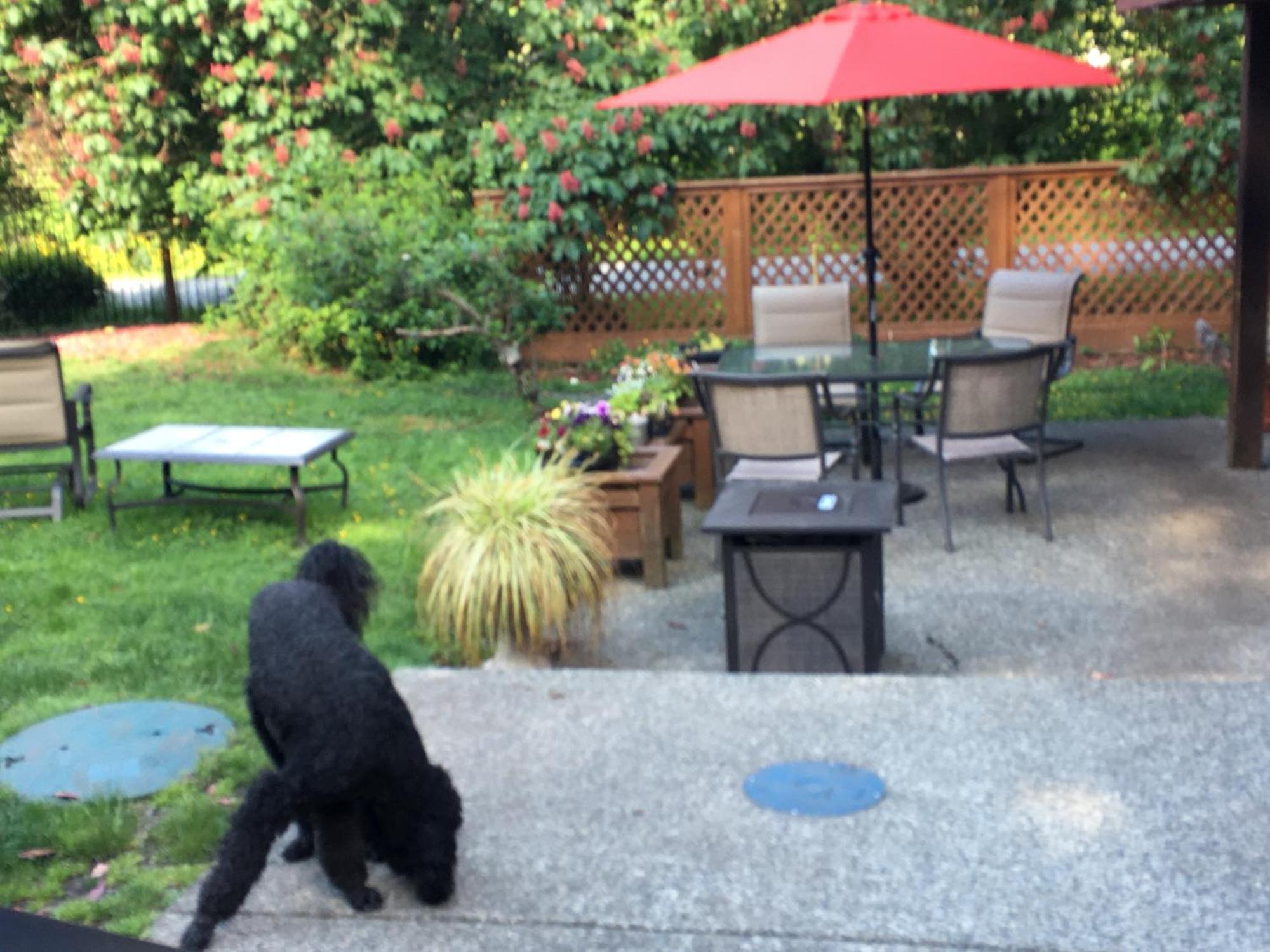 科尔斯湾度假屋 North Saanich 外观 照片