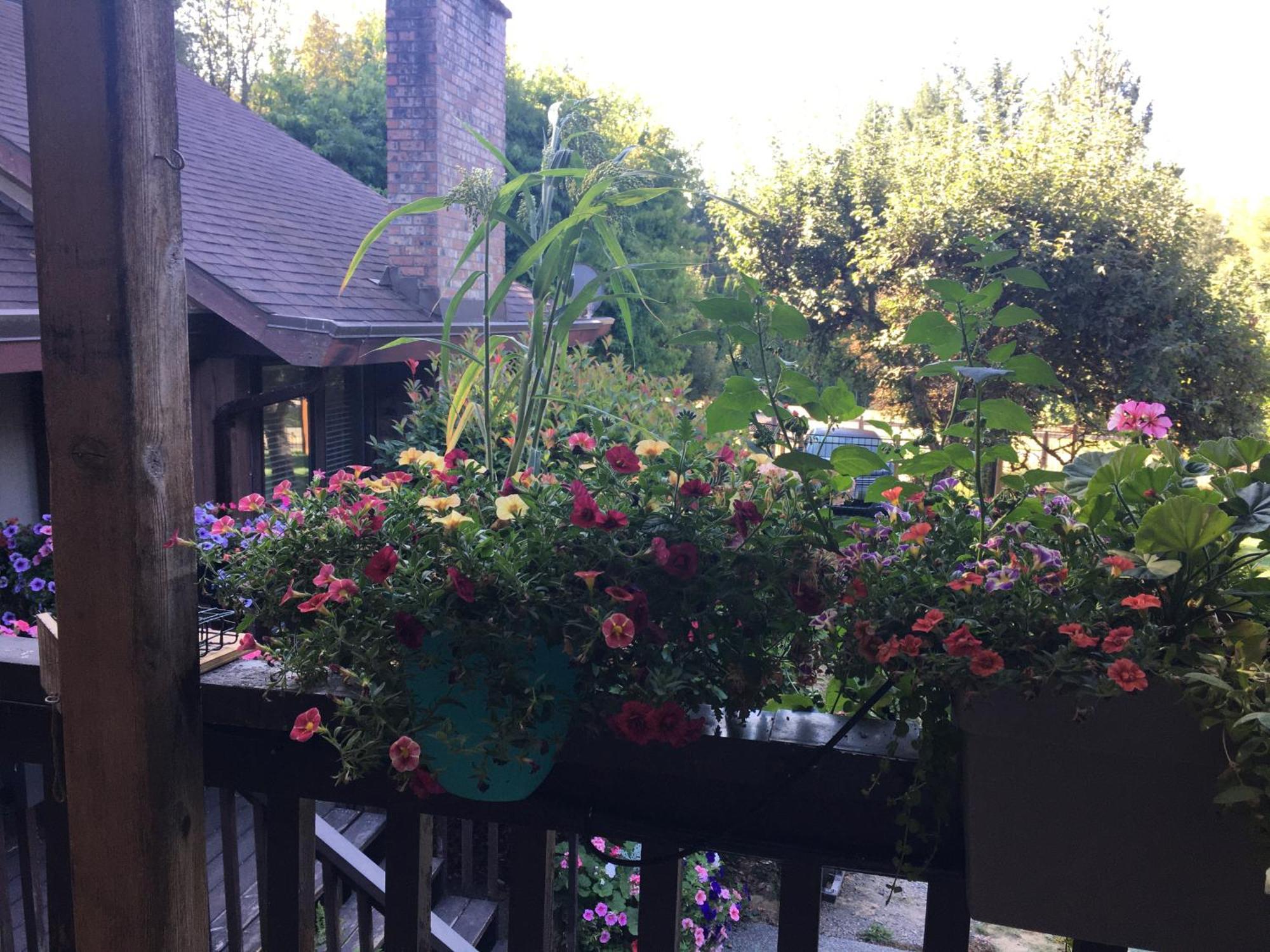 科尔斯湾度假屋 North Saanich 外观 照片