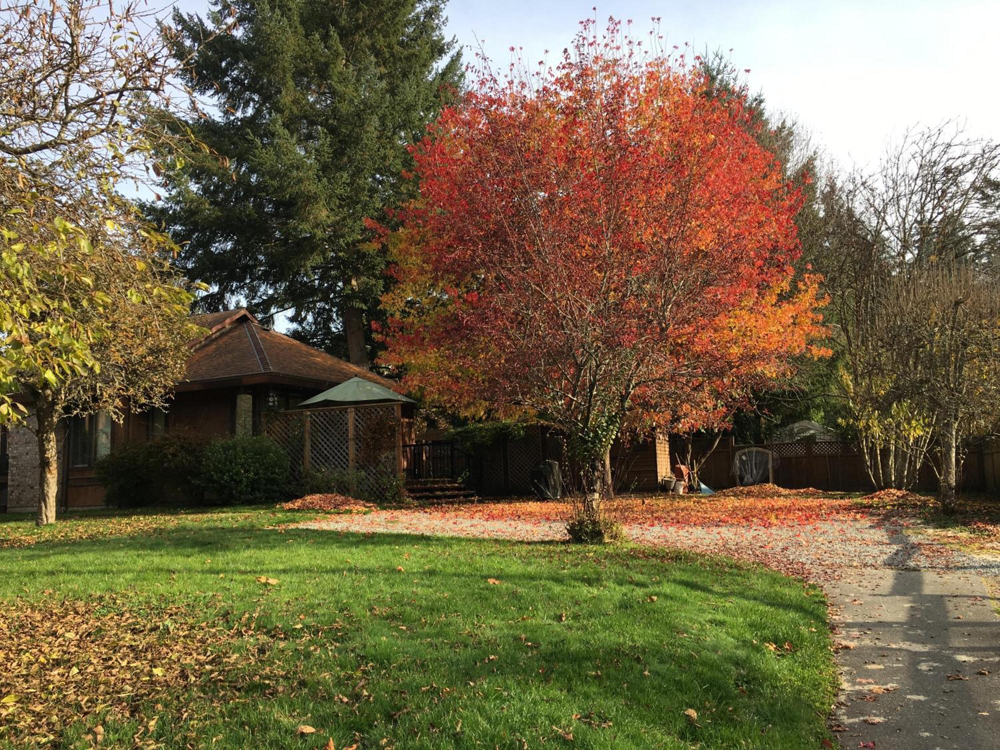 科尔斯湾度假屋 North Saanich 外观 照片