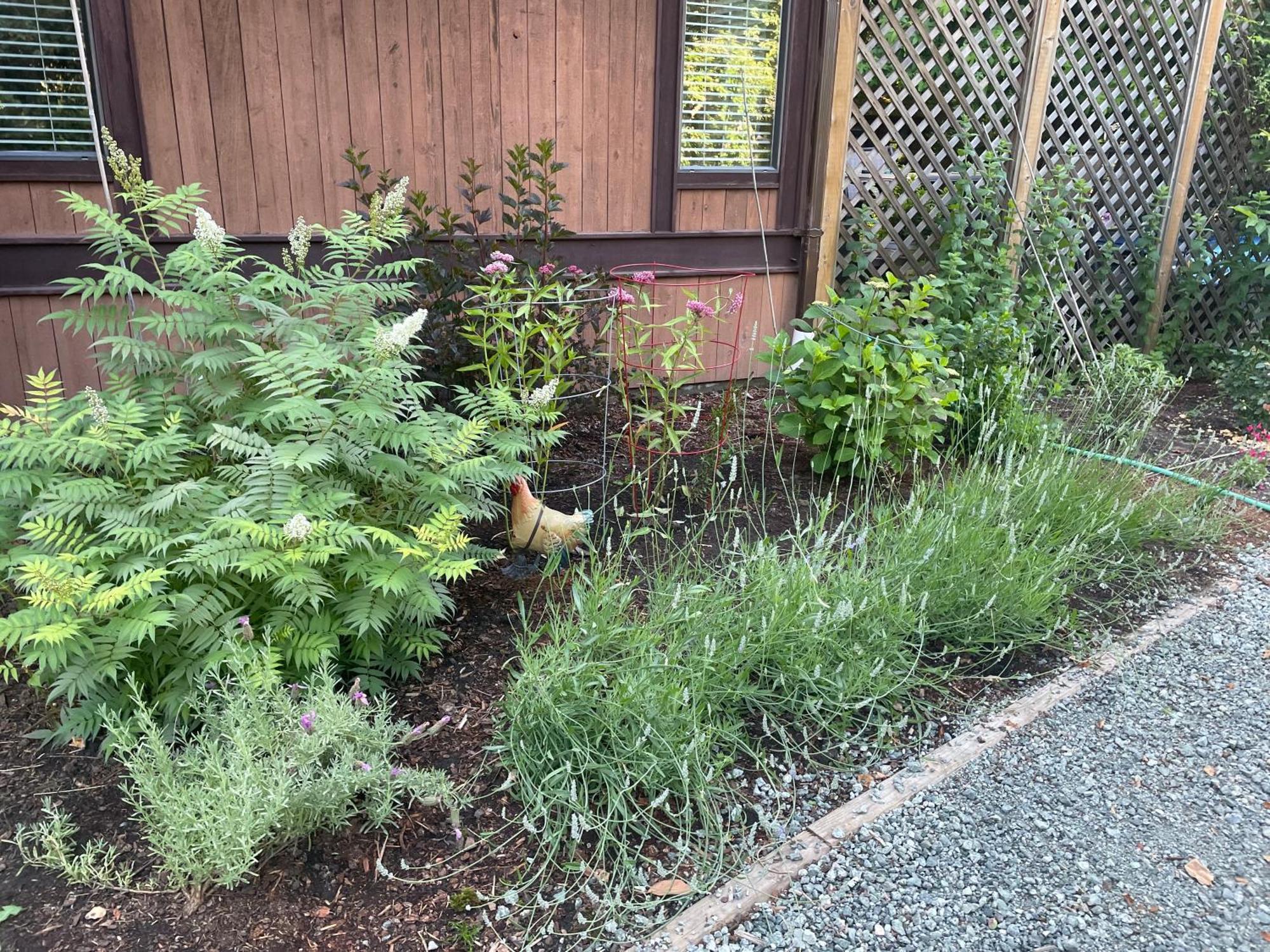 科尔斯湾度假屋 North Saanich 外观 照片