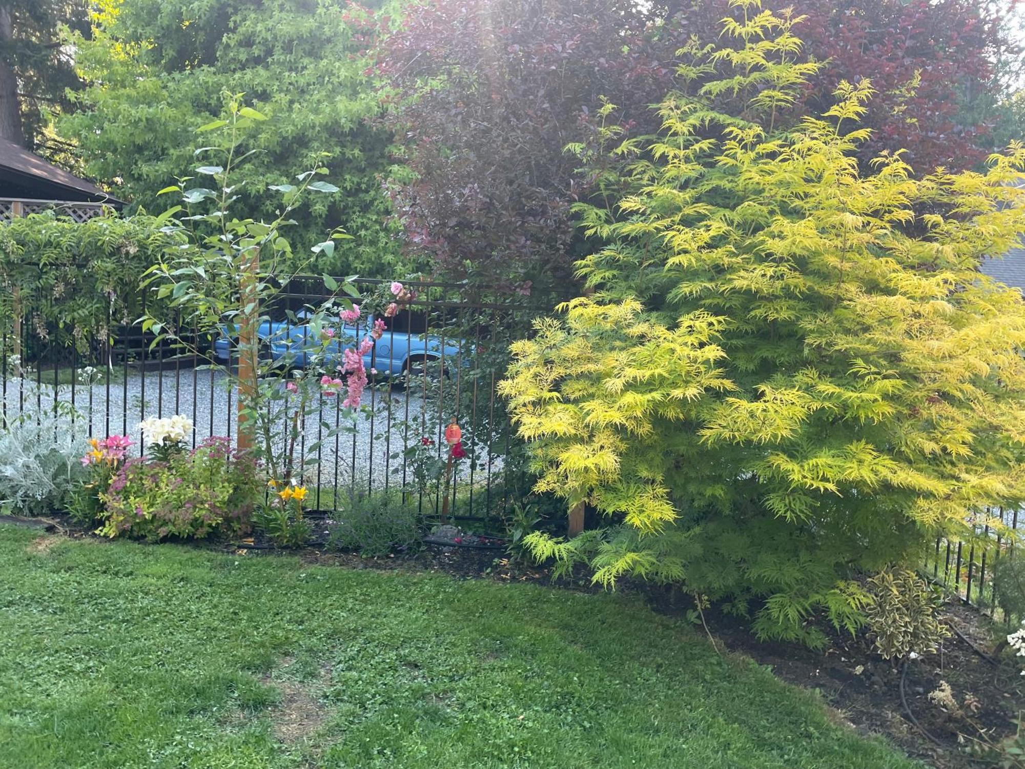 科尔斯湾度假屋 North Saanich 外观 照片
