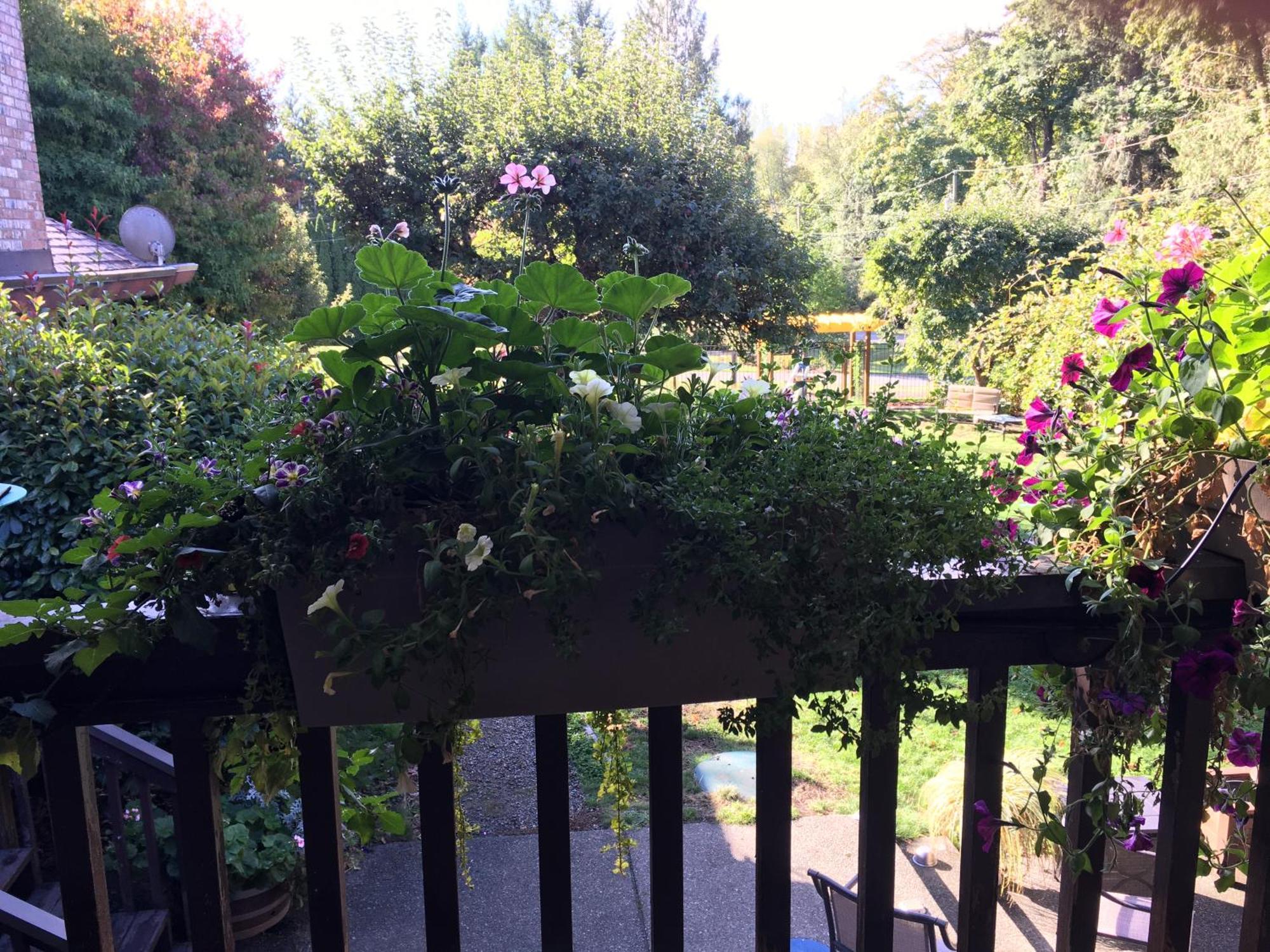 科尔斯湾度假屋 North Saanich 外观 照片