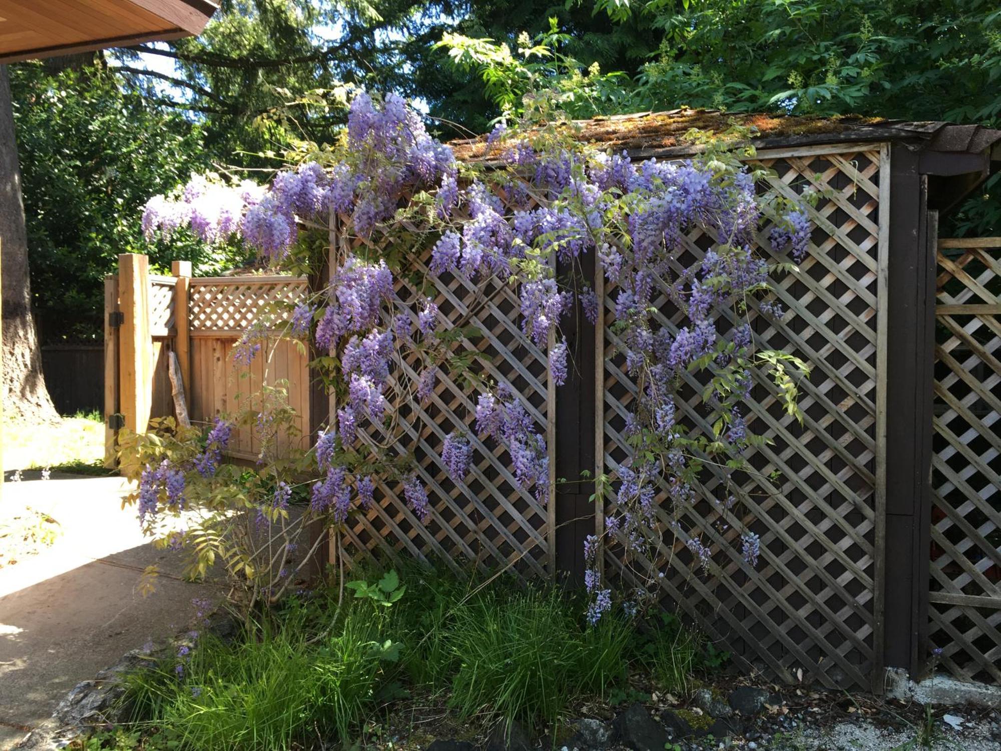 科尔斯湾度假屋 North Saanich 外观 照片