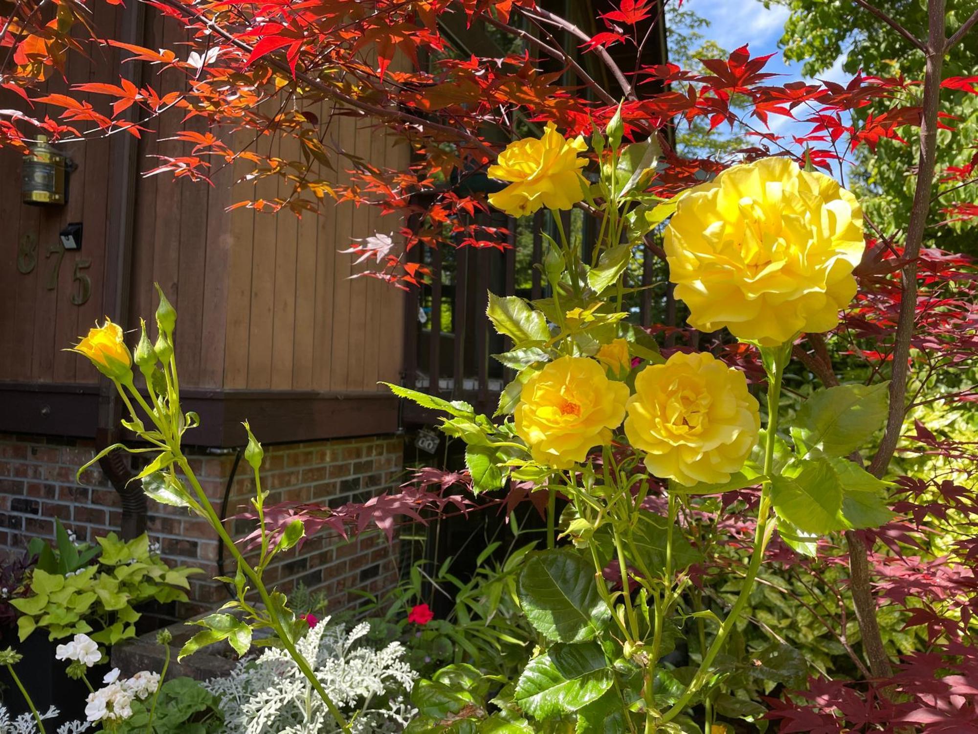 科尔斯湾度假屋 North Saanich 外观 照片