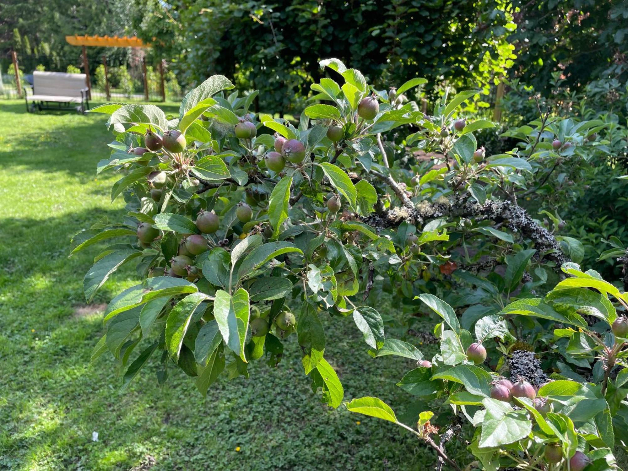 科尔斯湾度假屋 North Saanich 外观 照片