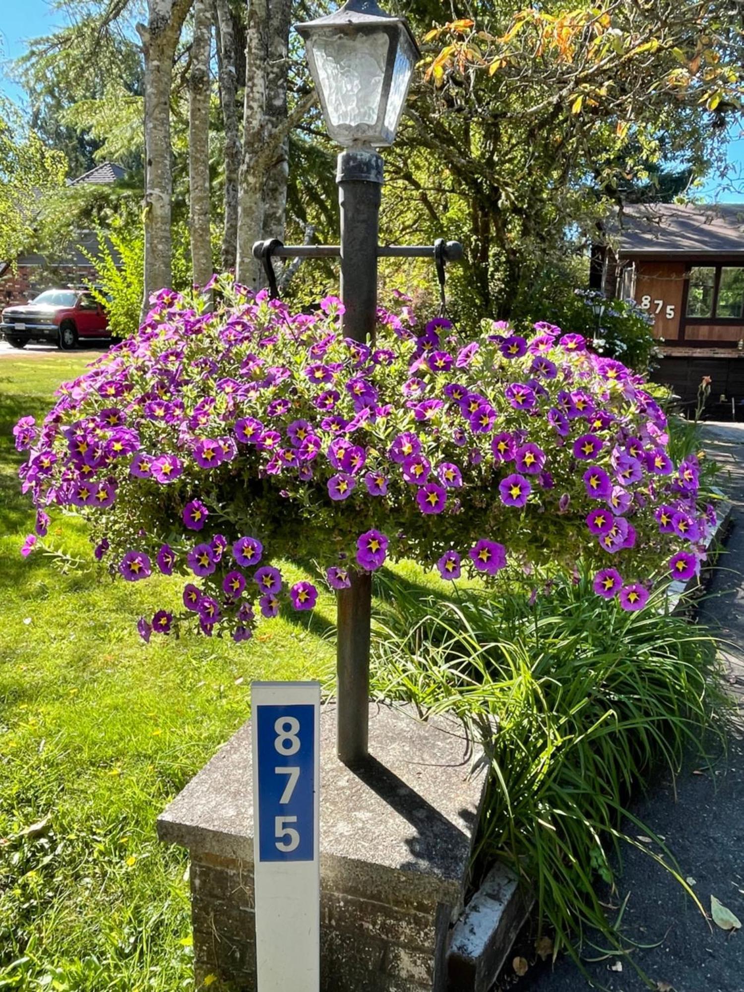 科尔斯湾度假屋 North Saanich 外观 照片