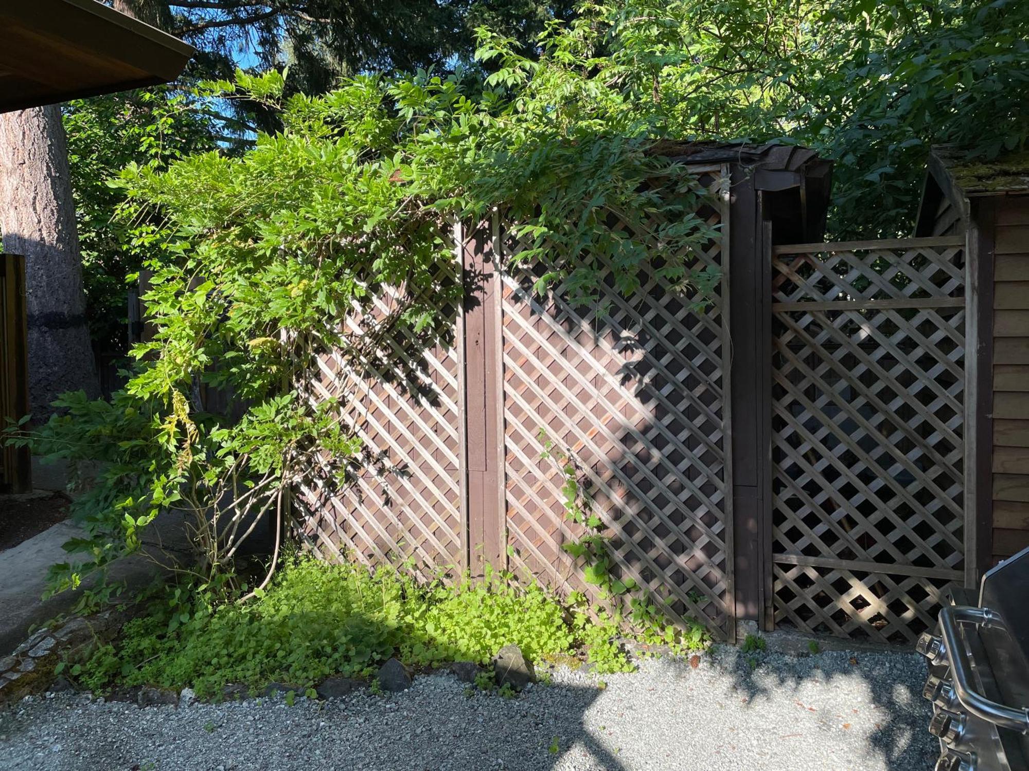 科尔斯湾度假屋 North Saanich 外观 照片