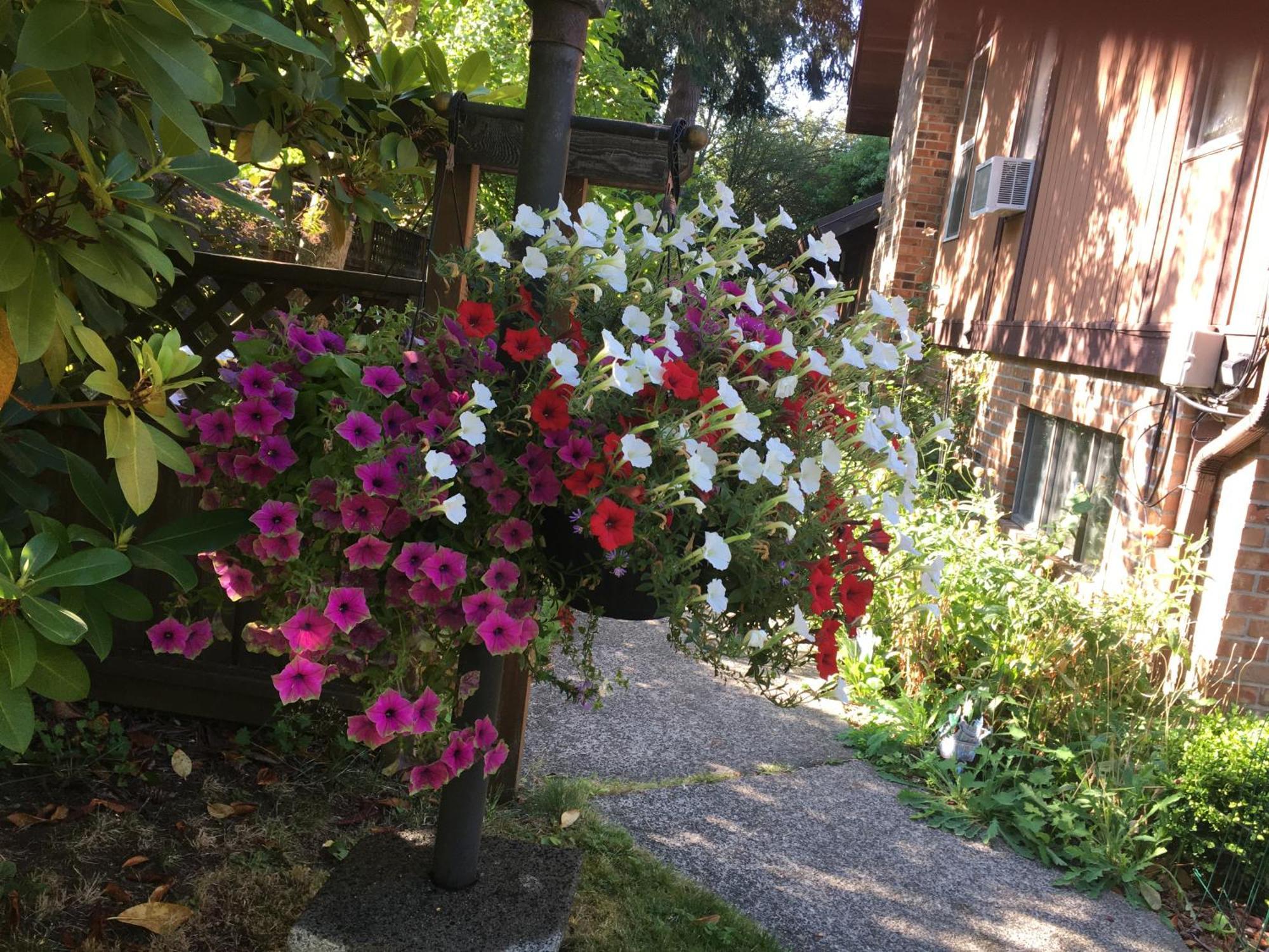 科尔斯湾度假屋 North Saanich 外观 照片