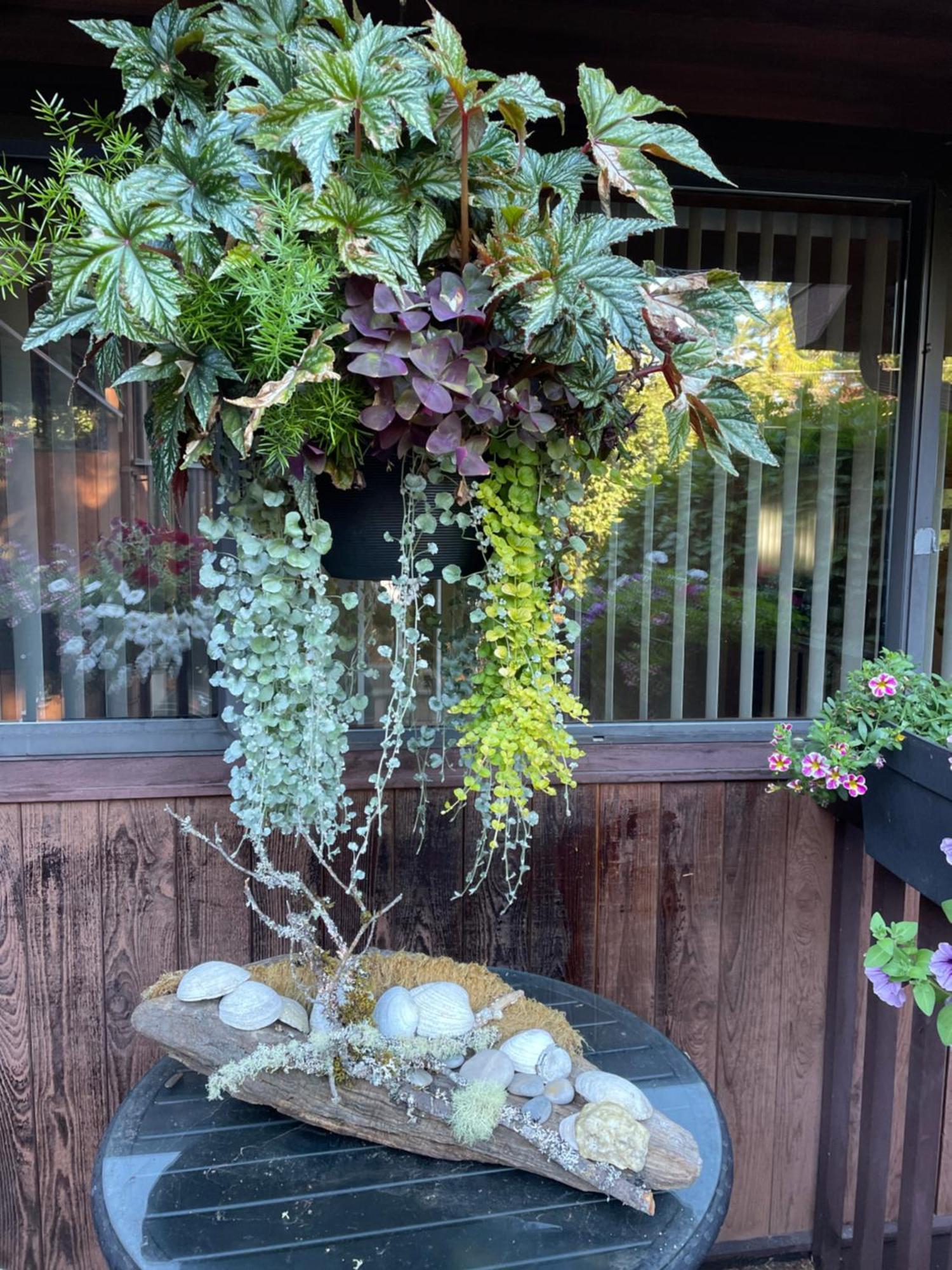 科尔斯湾度假屋 North Saanich 外观 照片