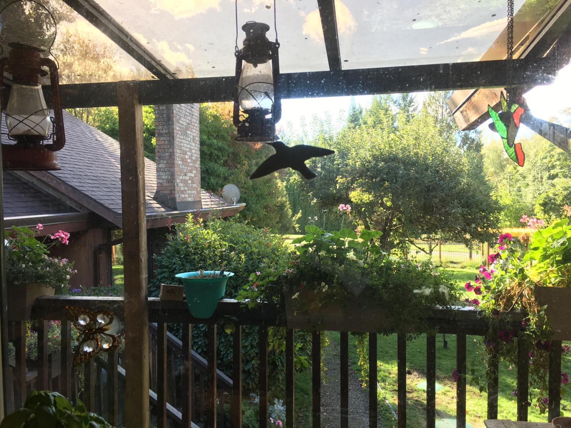 科尔斯湾度假屋 North Saanich 外观 照片